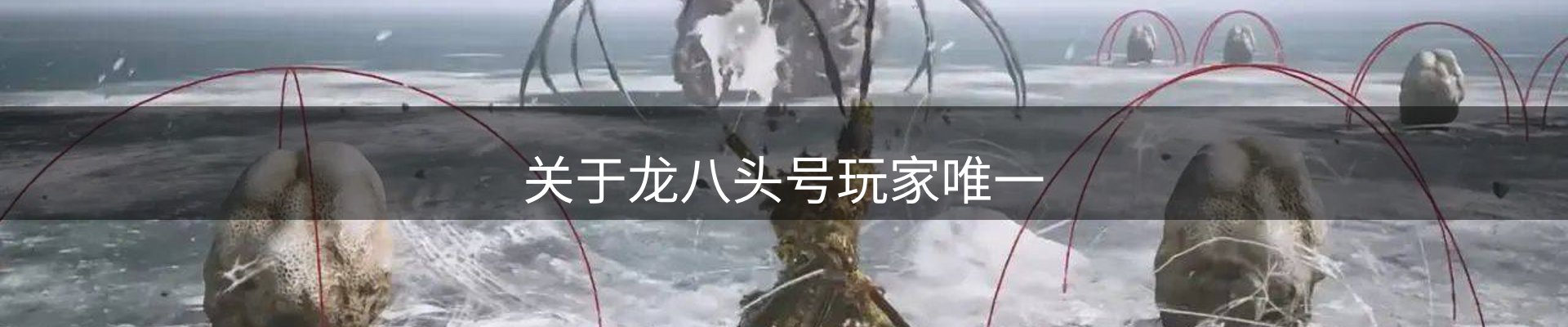 关于龙八头号玩家唯一